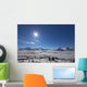 Afternoon Sun Along The Dempster Highway, Yukon Wall Mural