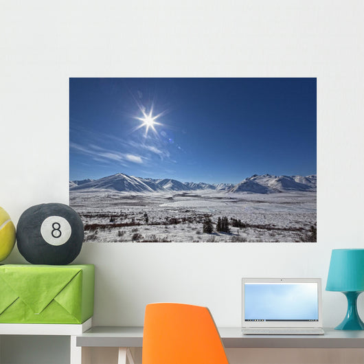 Afternoon Sun Along The Dempster Highway, Yukon Wall Mural