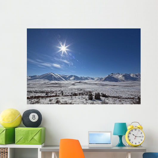 Afternoon Sun Along The Dempster Highway, Yukon Wall Mural