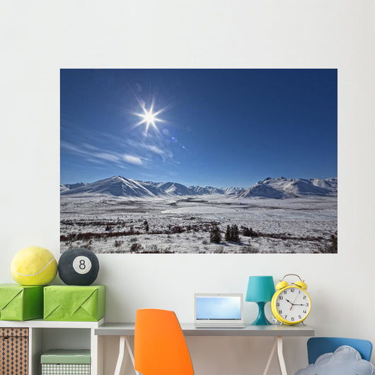 Afternoon Sun Along The Dempster Highway, Yukon Wall Mural