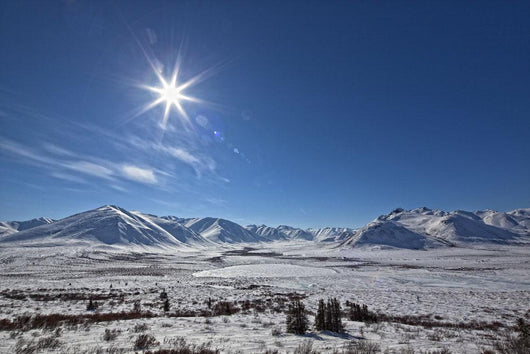Afternoon Sun Along The Dempster Highway, Yukon Wall Mural