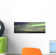 Aurora Borealis Or Northern Lights Over The Eagle Plains Wall Mural