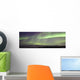 Aurora Borealis Or Northern Lights Over The Eagle Plains Wall Mural