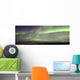 Aurora Borealis Or Northern Lights Over The Eagle Plains Wall Mural