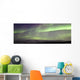 Aurora Borealis Or Northern Lights Over The Eagle Plains Wall Mural