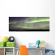 Aurora Borealis Or Northern Lights Over The Eagle Plains Wall Mural