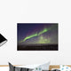 Aurora Borealis Or Northern Lights Over The Eagle Plains Wall Mural