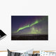 Aurora Borealis Or Northern Lights Over The Eagle Plains Wall Mural