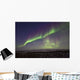 Aurora Borealis Or Northern Lights Over The Eagle Plains Wall Mural