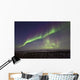 Aurora Borealis Or Northern Lights Over The Eagle Plains Wall Mural