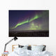 Aurora Borealis Or Northern Lights Over The Eagle Plains Wall Mural