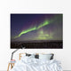 Aurora Borealis Or Northern Lights Over The Eagle Plains Wall Mural