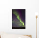 Aurora Borealis Or Northern Lights Over The Eagle Plains Wall Mural