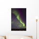 Aurora Borealis Or Northern Lights Over The Eagle Plains Wall Mural