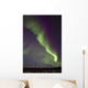 Aurora Borealis Or Northern Lights Over The Eagle Plains Wall Mural
