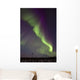 Aurora Borealis Or Northern Lights Over The Eagle Plains Wall Mural