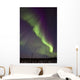 Aurora Borealis Or Northern Lights Over The Eagle Plains Wall Mural