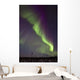 Aurora Borealis Or Northern Lights Over The Eagle Plains Wall Mural