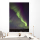 Aurora Borealis Or Northern Lights Over The Eagle Plains Wall Mural