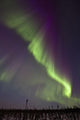 Aurora Borealis Or Northern Lights Over The Eagle Plains Wall Mural