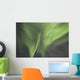 Aurora Borealis Or Northern Lights Over The Eagle Plains Wall Mural