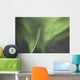 Aurora Borealis Or Northern Lights Over The Eagle Plains Wall Mural
