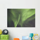 Aurora Borealis Or Northern Lights Over The Eagle Plains Wall Mural