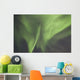 Aurora Borealis Or Northern Lights Over The Eagle Plains Wall Mural