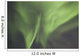 Aurora Borealis Or Northern Lights Over The Eagle Plains Wall Mural