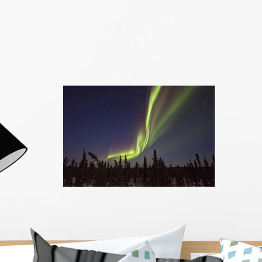 Aurora Borealis Or Northern Lights Over The Eagle Plains Wall Mural