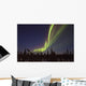 Aurora Borealis Or Northern Lights Over The Eagle Plains Wall Mural