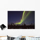 Aurora Borealis Or Northern Lights Over The Eagle Plains Wall Mural