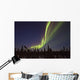 Aurora Borealis Or Northern Lights Over The Eagle Plains Wall Mural