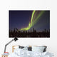 Aurora Borealis Or Northern Lights Over The Eagle Plains Wall Mural