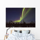 Aurora Borealis Or Northern Lights Over The Eagle Plains Wall Mural