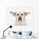 Yellow Labrador Retriever Dog With Raised Ears On A Windy Day Wall Mural