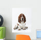 Studio Shot Of A Basset Hound Sitting On White Background Wall Mural