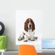 Studio Shot Of A Basset Hound Sitting On White Background Wall Mural