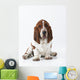 Studio Shot Of A Basset Hound Sitting On White Background Wall Mural