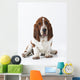 Studio Shot Of A Basset Hound Sitting On White Background Wall Mural