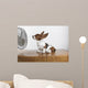 Studio Shot Of A Basset Hound With Fan Blowing It's Ears Up Wall Mural