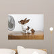 Studio Shot Of A Basset Hound With Fan Blowing It's Ears Up Wall Mural