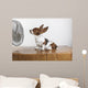 Studio Shot Of A Basset Hound With Fan Blowing It's Ears Up Wall Mural