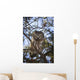 Saw Whet Owl Wall Mural
