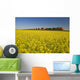 Rail Cars Carrying Containers Passe A Canola Field Wall Mural