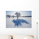 Field With Frost Covered Trees Wall Mural