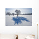 Field With Frost Covered Trees Wall Mural