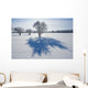 Field With Frost Covered Trees Wall Mural