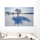 Field With Frost Covered Trees Wall Mural