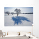 Field With Frost Covered Trees Wall Mural